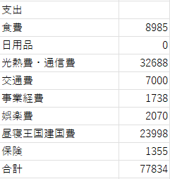 2024年11月の支出